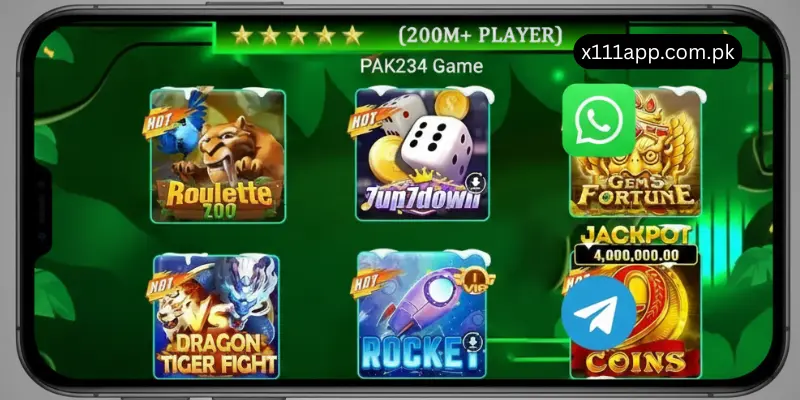 PAK234 Game